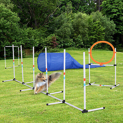 Pawhut Outdoor Dog Pet Agility Training Equipment Backyard Starter Course Set