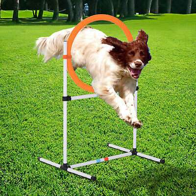 Outdoor 2-in-1 Dog Obstacle Training Agility Equipment Tire Jump Ring/hurdle Bar