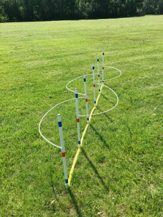 Dog Agility Equipment Six Weave Poles With Guide Wires ⭐⭐⭐⭐⭐